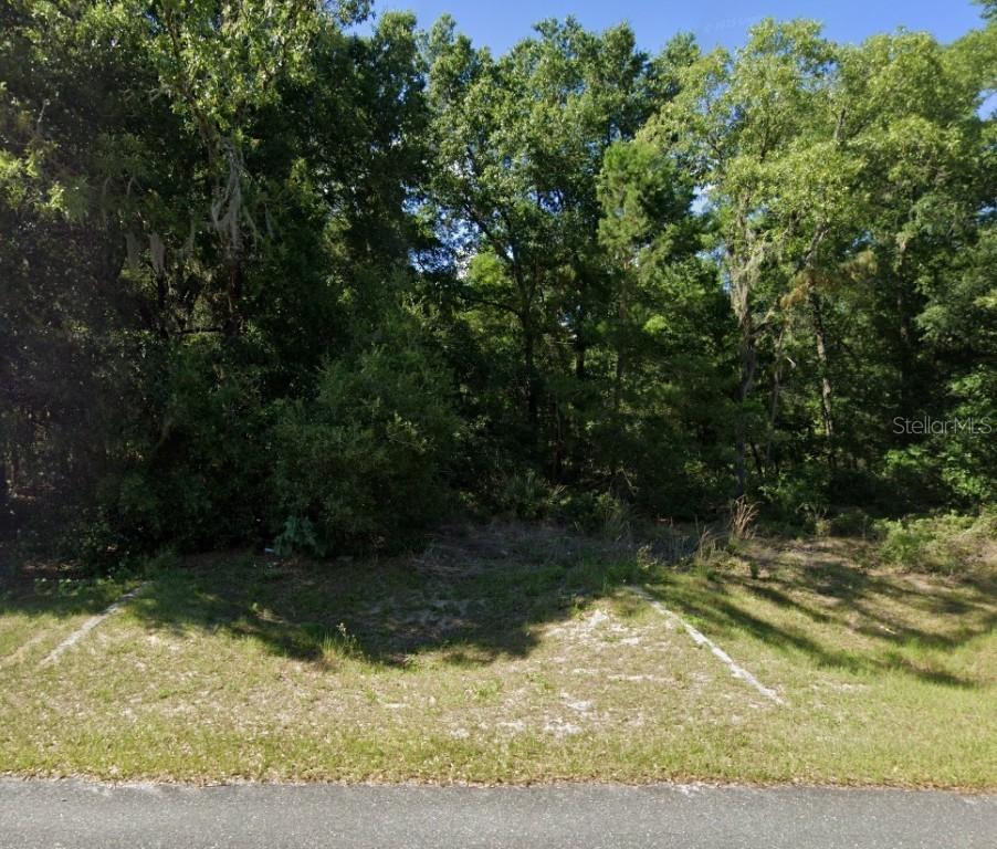 SW 116th Pl Pl., Ocala, FL 34476