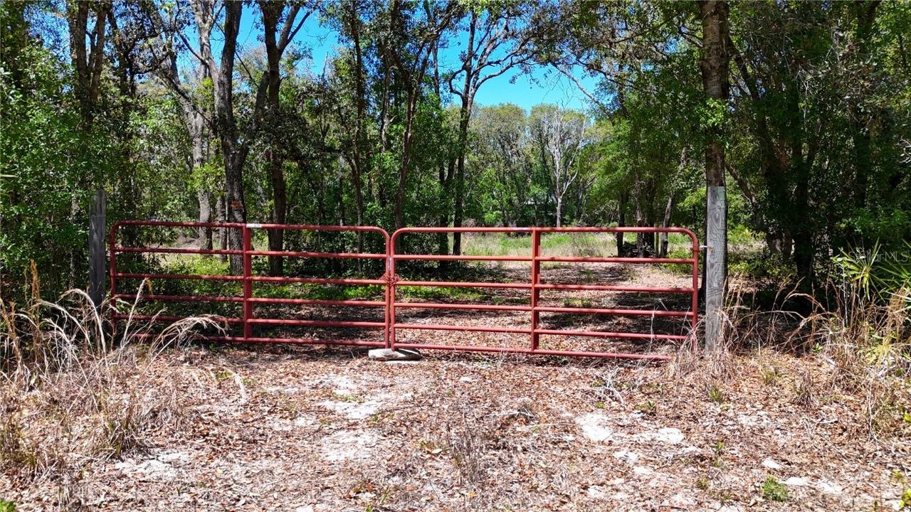 34281 Umbrella Rock Dr., Webster, FL 33597