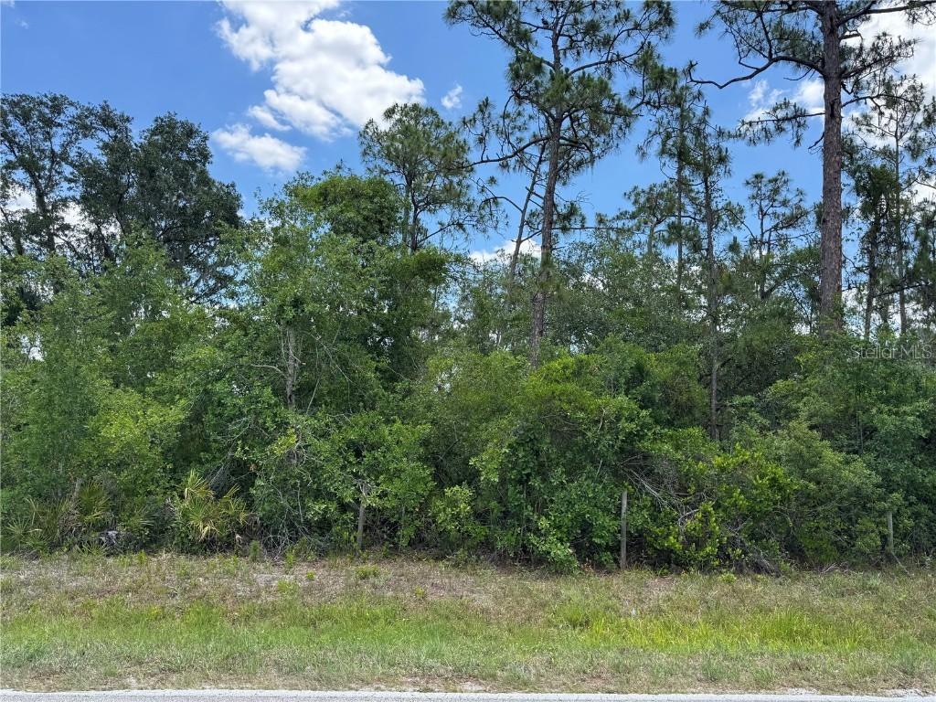 SW Florida Rd., Arcadia, FL 34266