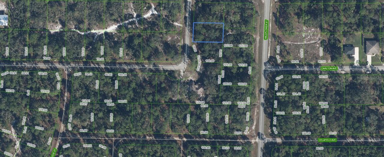 3202 S Dahlia Dr., Lake Placid, FL 33852