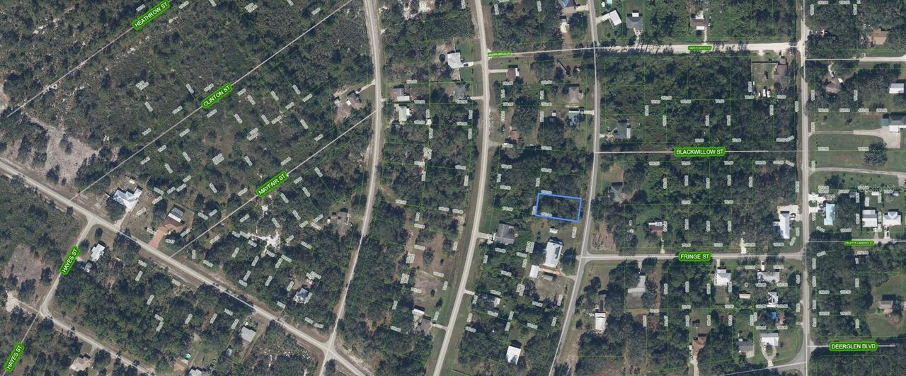 356 Bottlebrush Ave., Lake Placid, FL 33852