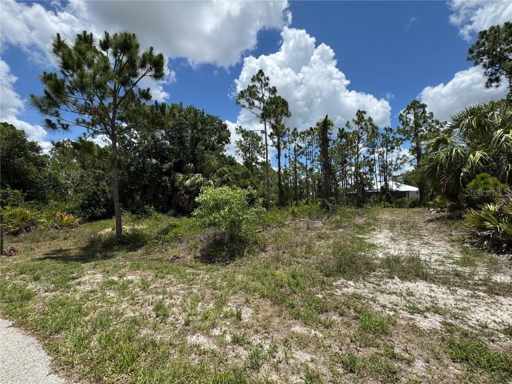 13384 Sulky Dr., Punta Gorda, FL 33955