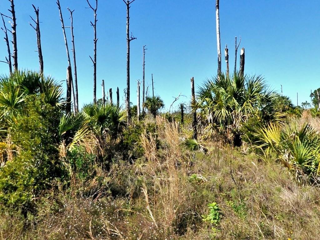 Ewen Lot #17 Cir., North Port, FL 34288