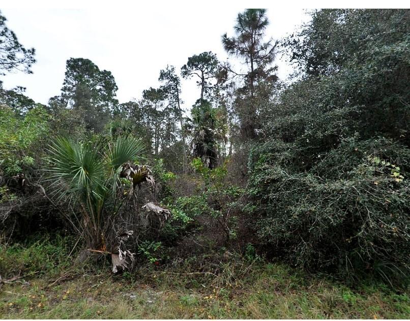 Kamain Rd., North Port, FL 34288