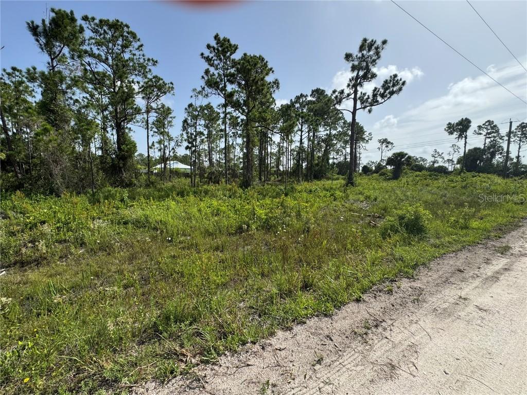 29528 Clara Dr., Punta Gorda, FL 33982