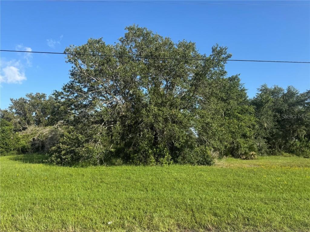 8076 SW Liverpool Rd., Arcadia, FL 34269