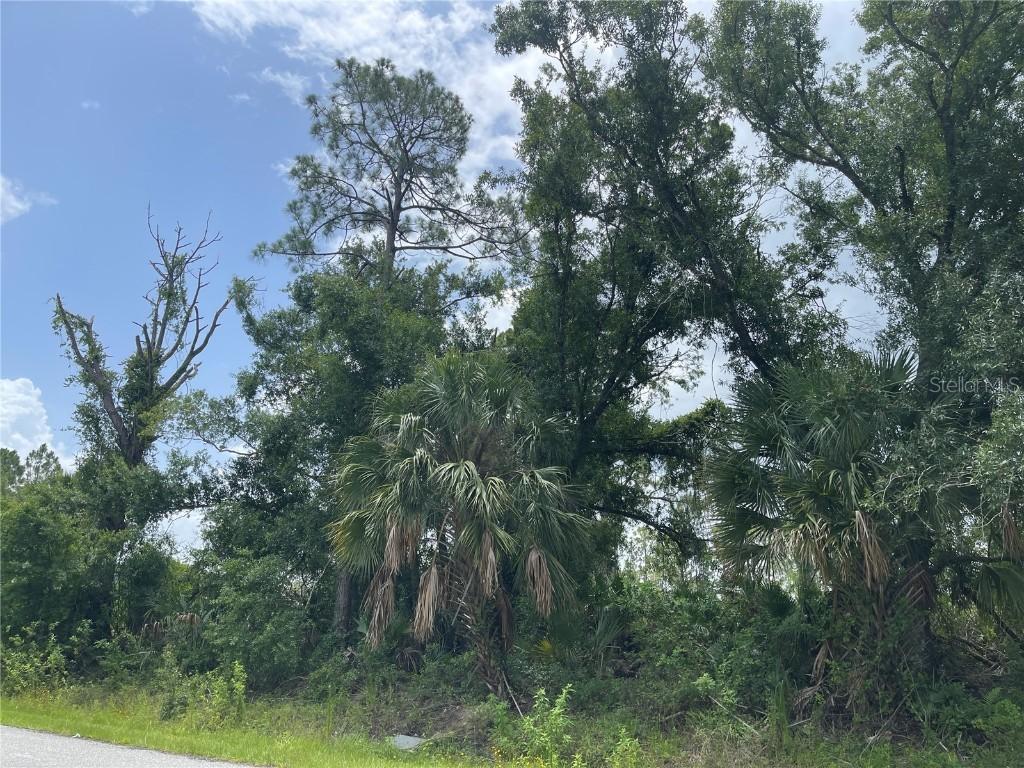 Bellafonte Ave., North Port, FL 34286