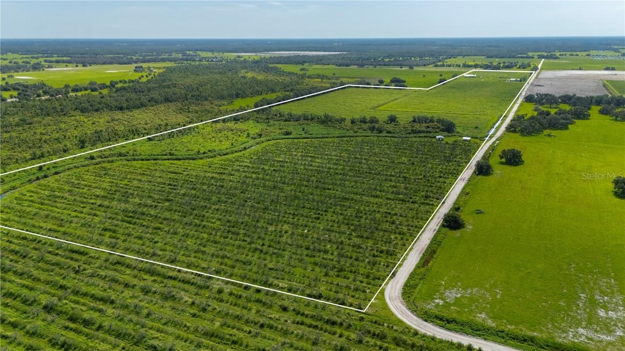 9480 Gough Rd., Ona, FL 33865