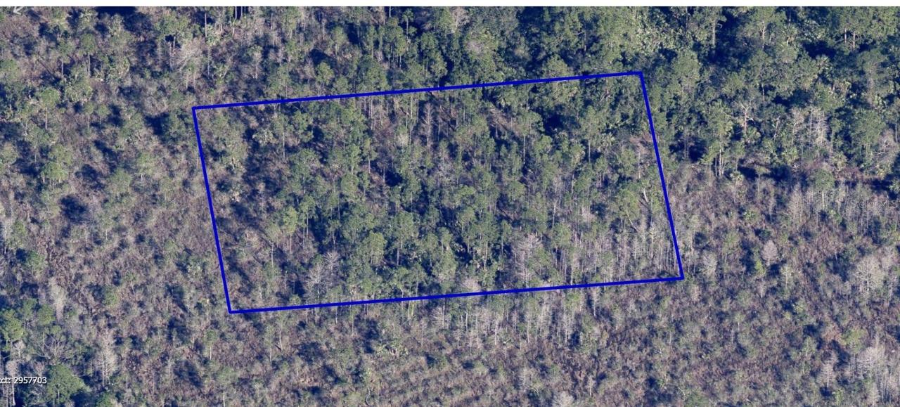 No Name, Grant, FL 32949