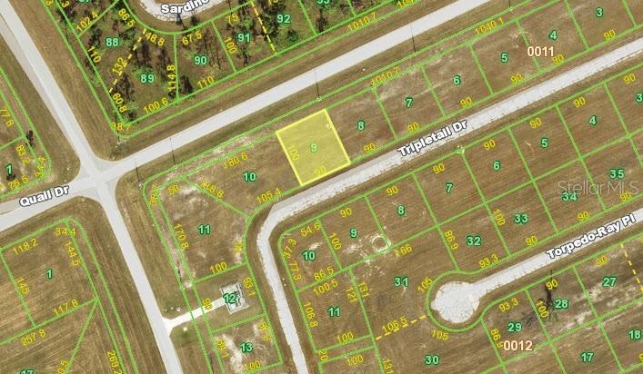 12283 Tripletail Dr., Placida, FL 33946