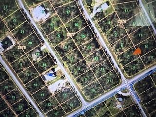1194 Hammacher Ln., Port Charlotte, FL 33953