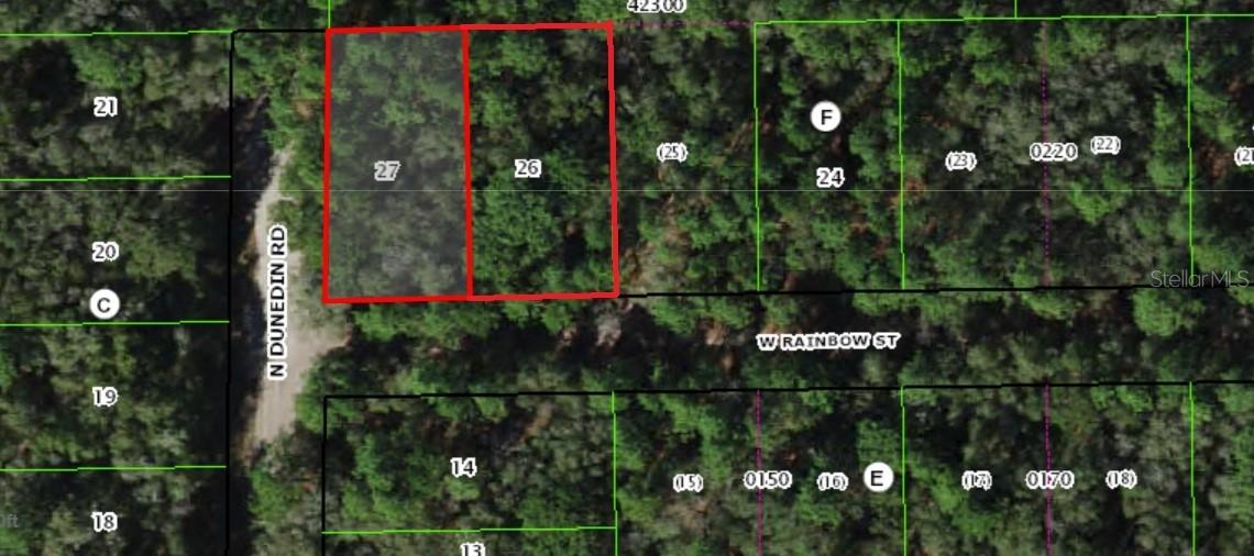7715 & 7691 W Rainbow St., Dunnellon, FL 34433