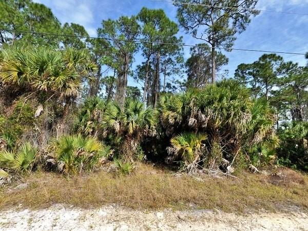 [Address Hidden by Seller], North Port, FL 34286
