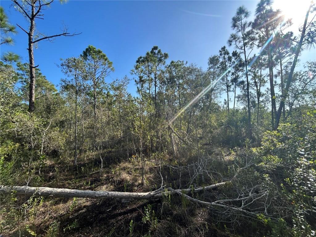 7041 Sweden Blvd., Punta Gorda, FL 33982