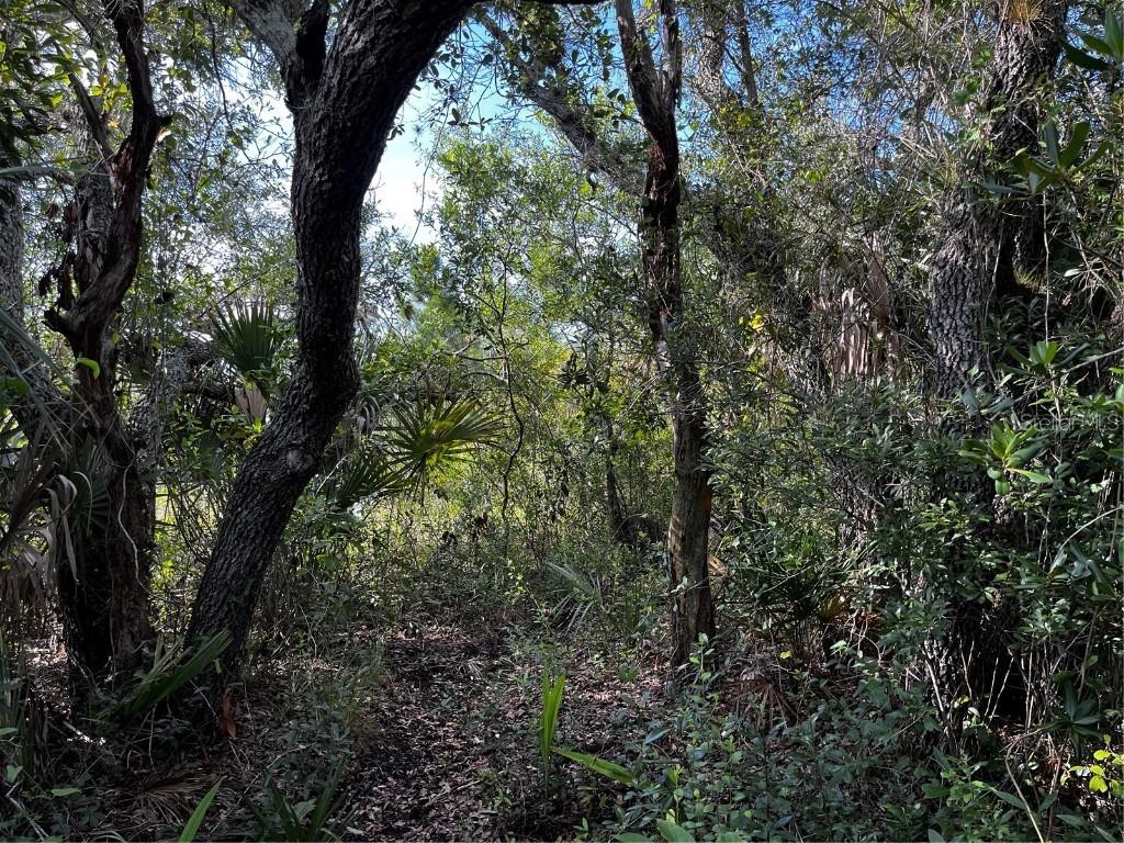 50204 Bermont Rd., Punta Gorda, FL 33982
