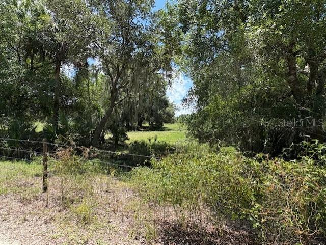 10573 SE Foster Ave., Arcadia, FL 34266