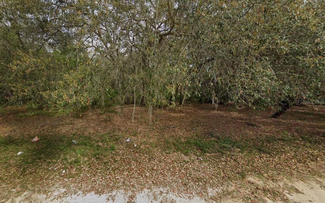 108 Palmer Dr., Interlachen, FL 32148