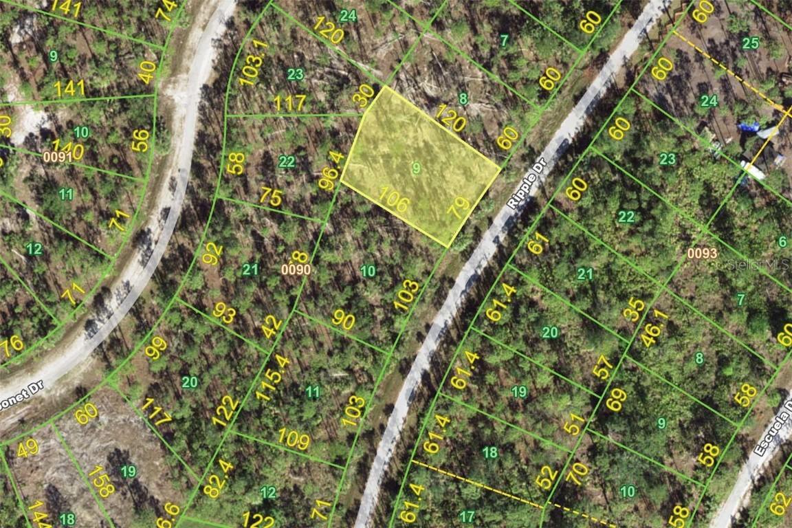 12225 Ripple Dr., Punta Gorda, FL 33955