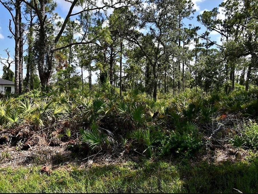 Vespucius St., North Port, FL 34287