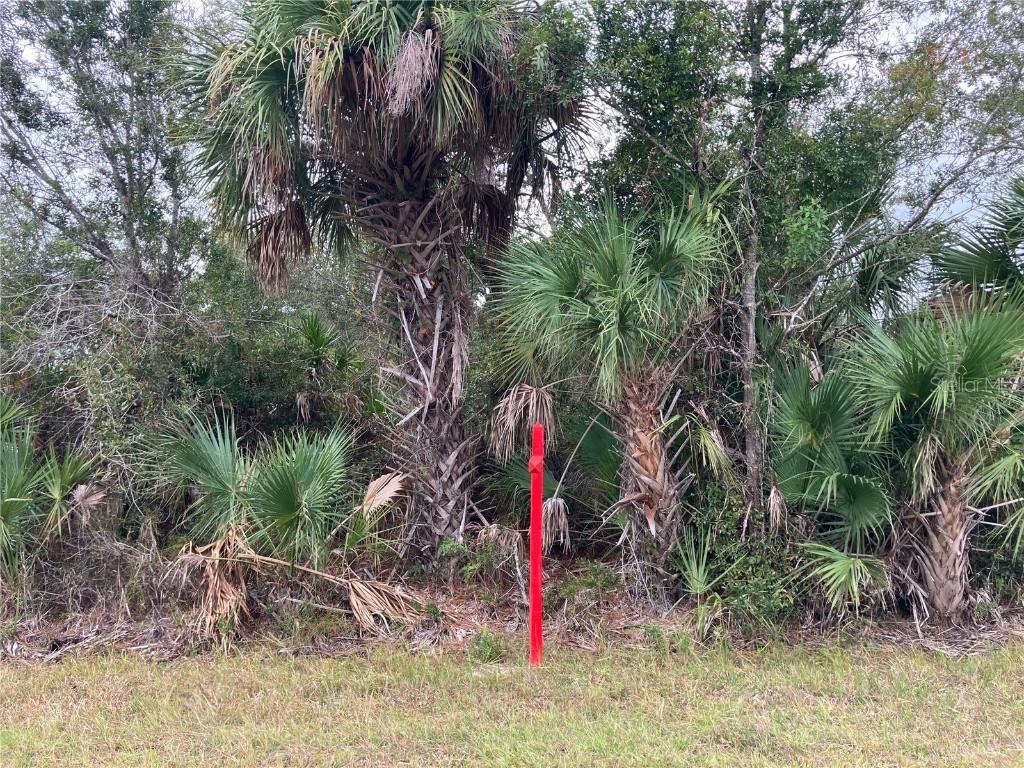 4363 Schneider St., Port Charlotte, FL 33981