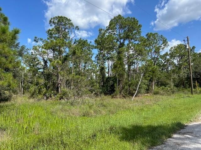 13042 Apache Dr., Punta Gorda, FL 33955