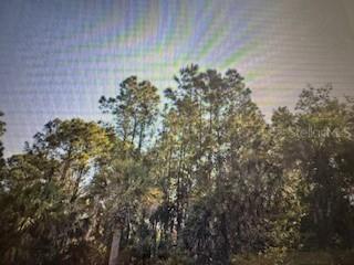 364 Lindon St., Port Charlotte, FL 33954