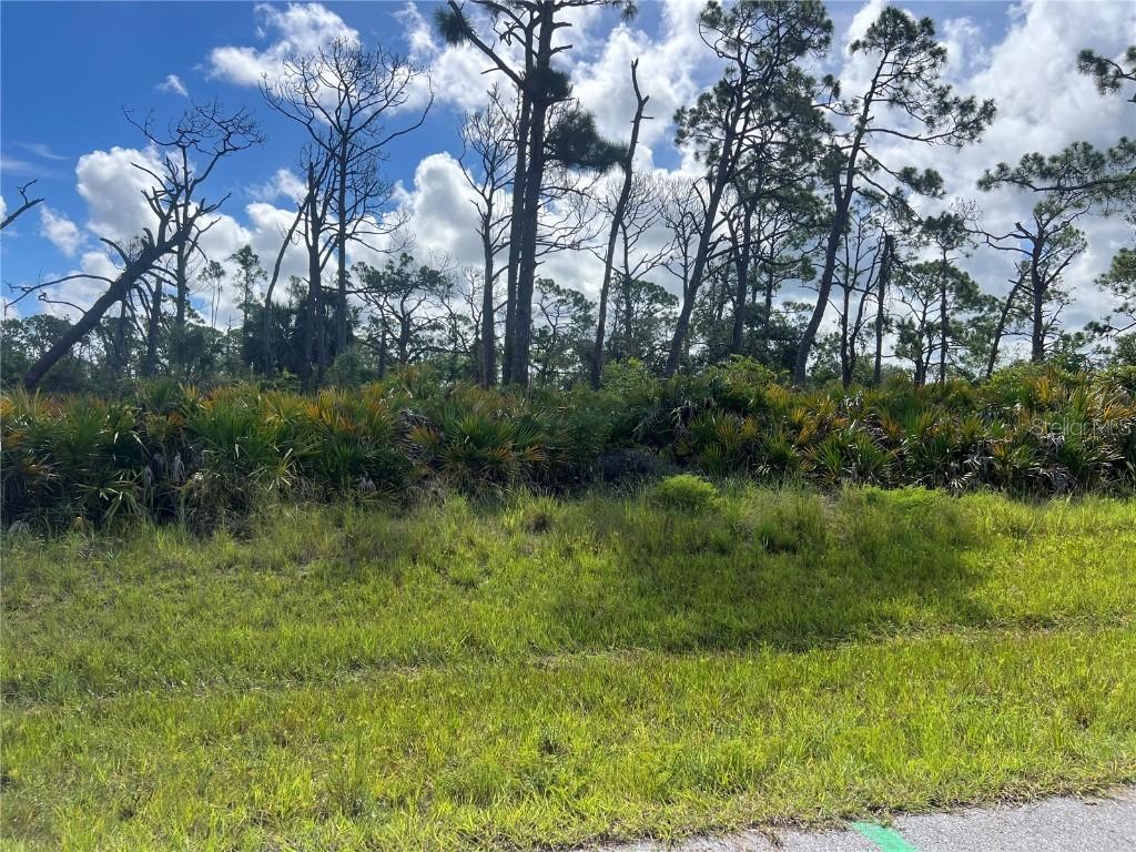 142 Flower Rd, Rotonda West, FL 33947