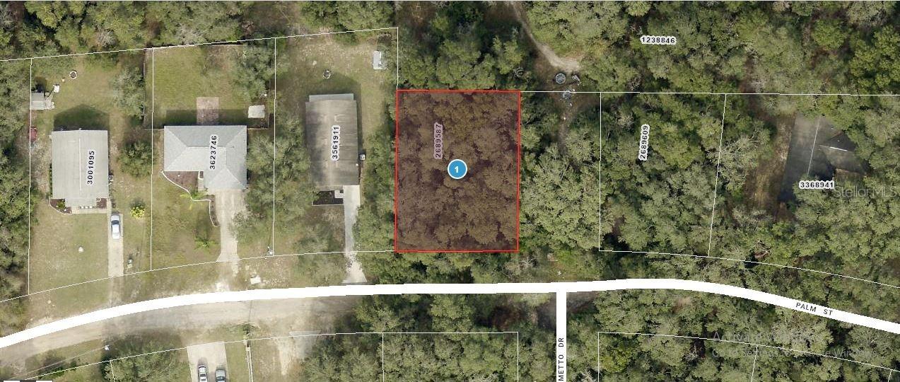 Palm St., Lady Lake, FL 32159