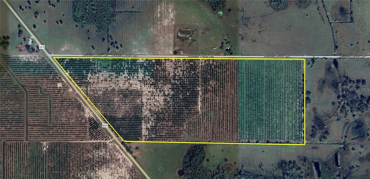 Goose Pond Rd., Ona, FL 33865