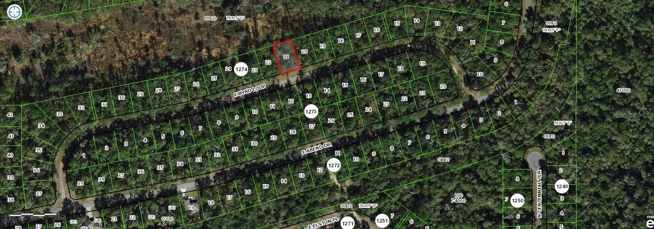 781 E Byrd Loop, Dunnellon, FL 34434