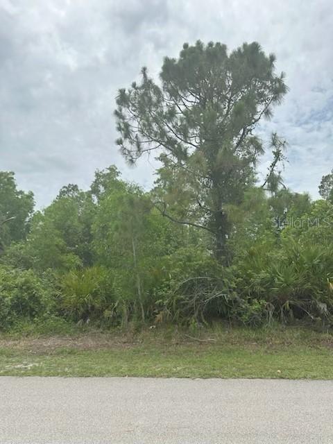 12143 Pontoon Blvd., Punta Gorda, FL 33955