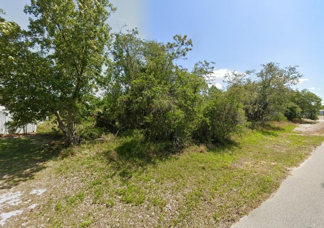 249 Grape Rd., Lake Placid, FL 33852