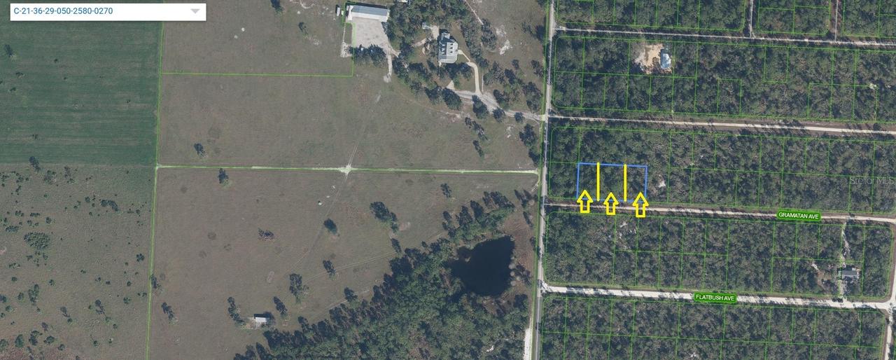 3253 Gramatan Ave., Lake Placid, FL 33852