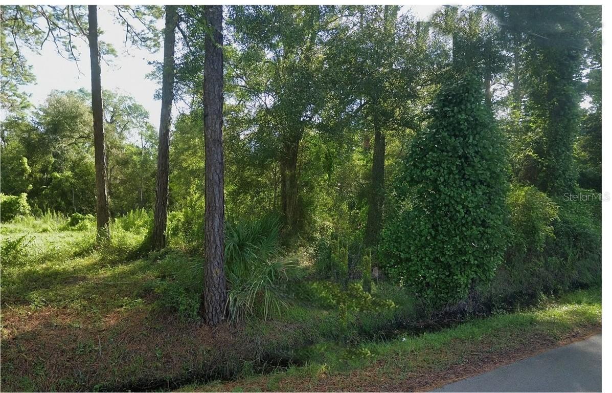 320 Alabama Ave., Palatka, FL 32177