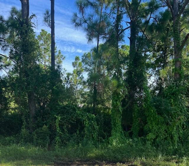 Gancedo Ave., North Port, FL 34291