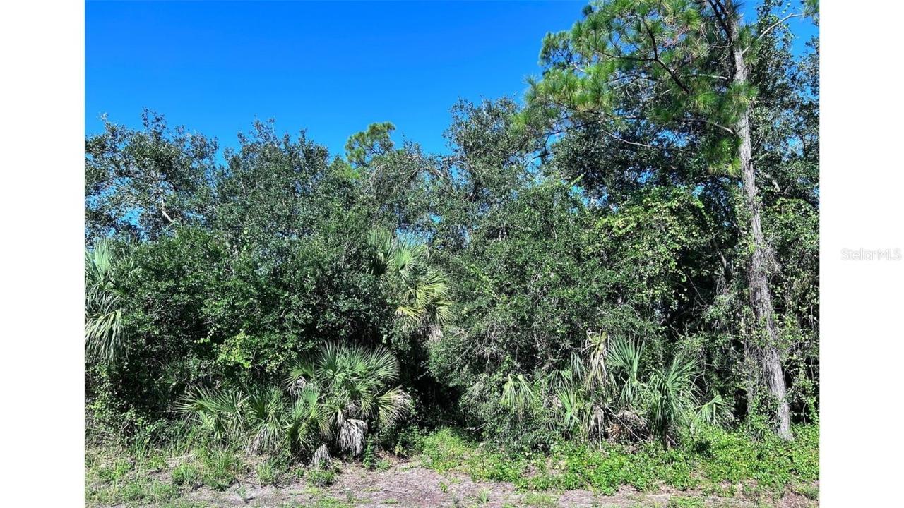 323 Troutdale St., Port Charlotte, FL 33954