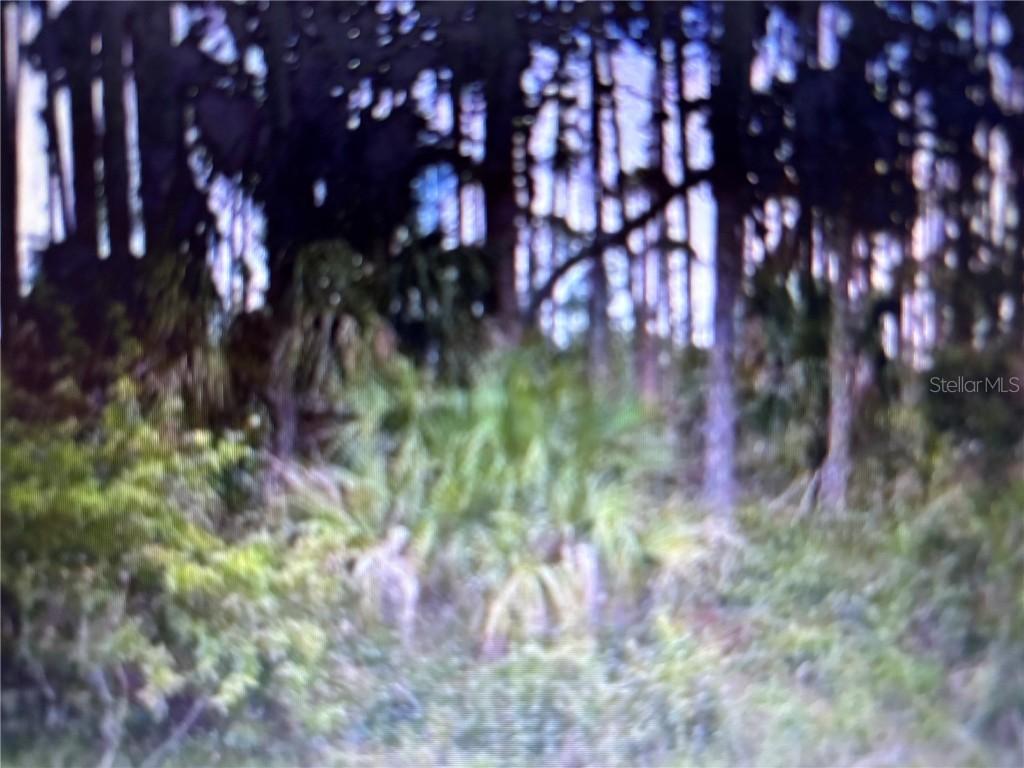 13486 Chamberlain Blvd., Port Charlotte, FL 33953