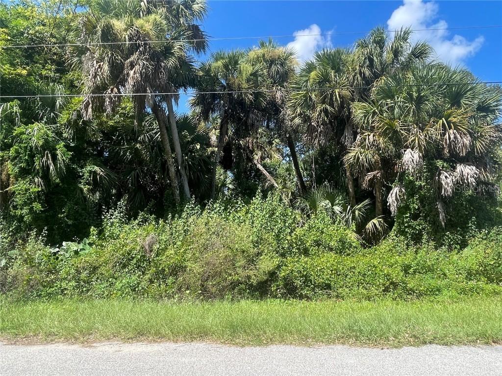 Snyder   (lot 6 Block 1019), North Port, FL 34288