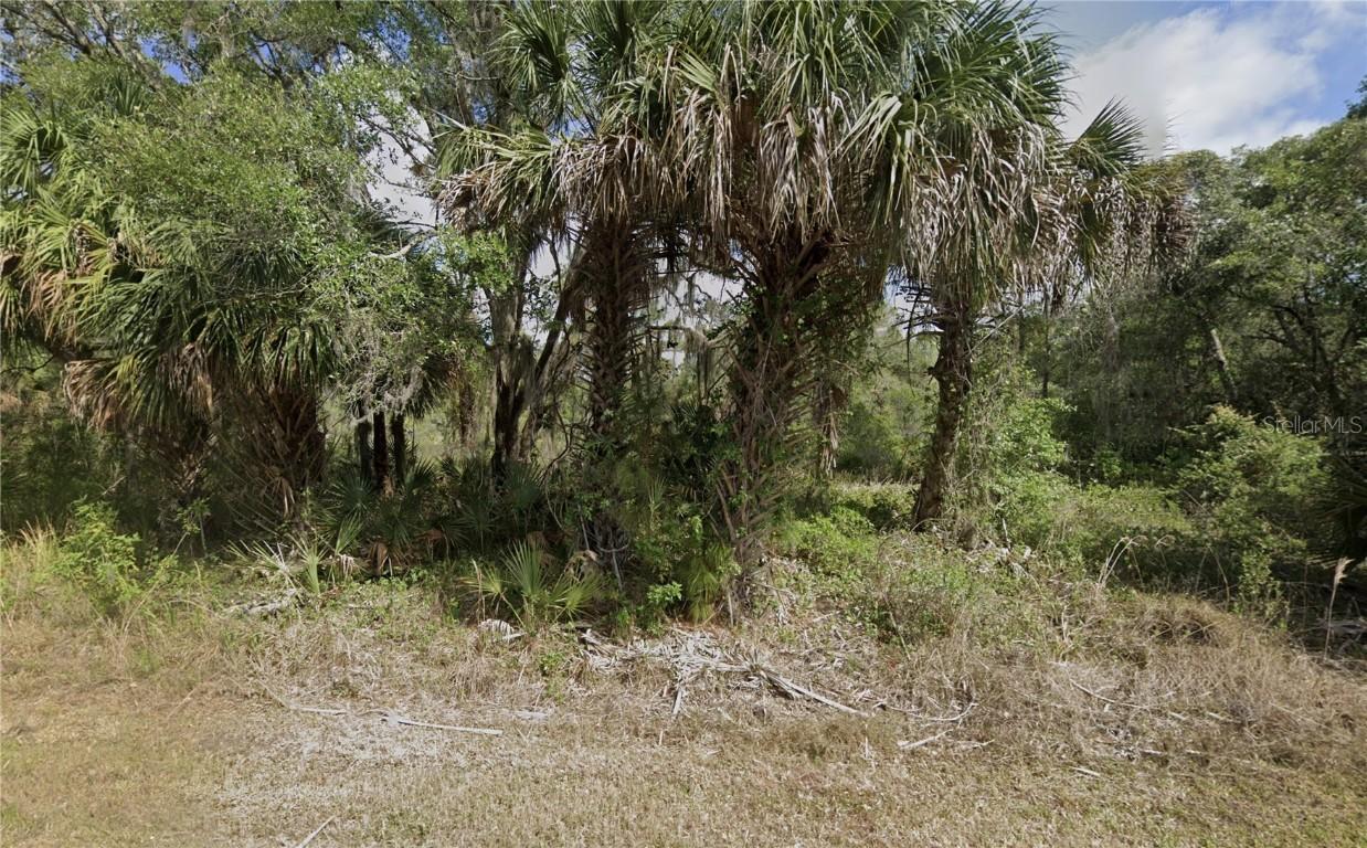 1425 Adalia Ter., Port Charlotte, FL 33953