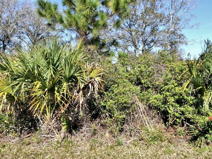 Ancient Rd., North Port, FL 34286