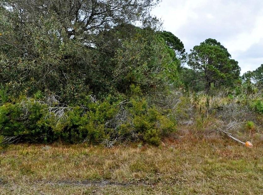 Hornbuckle Blvd., North Port, FL 34291
