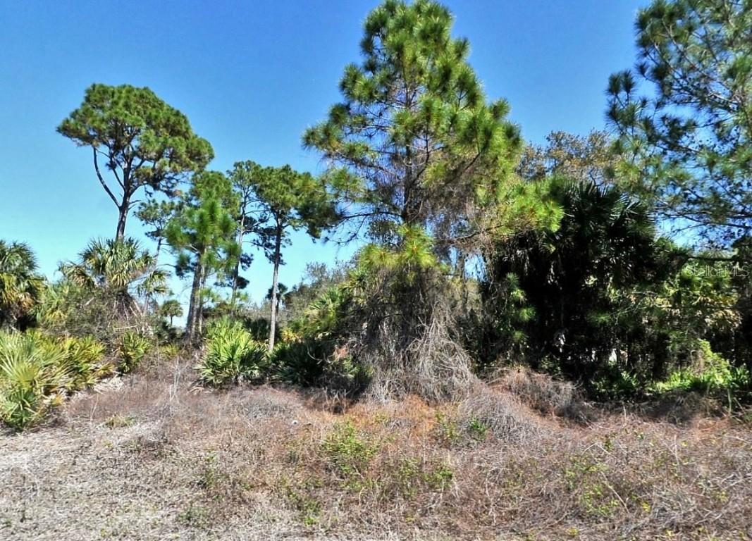 Gratlyn Ter. #LOT 18, North Port, FL 34288