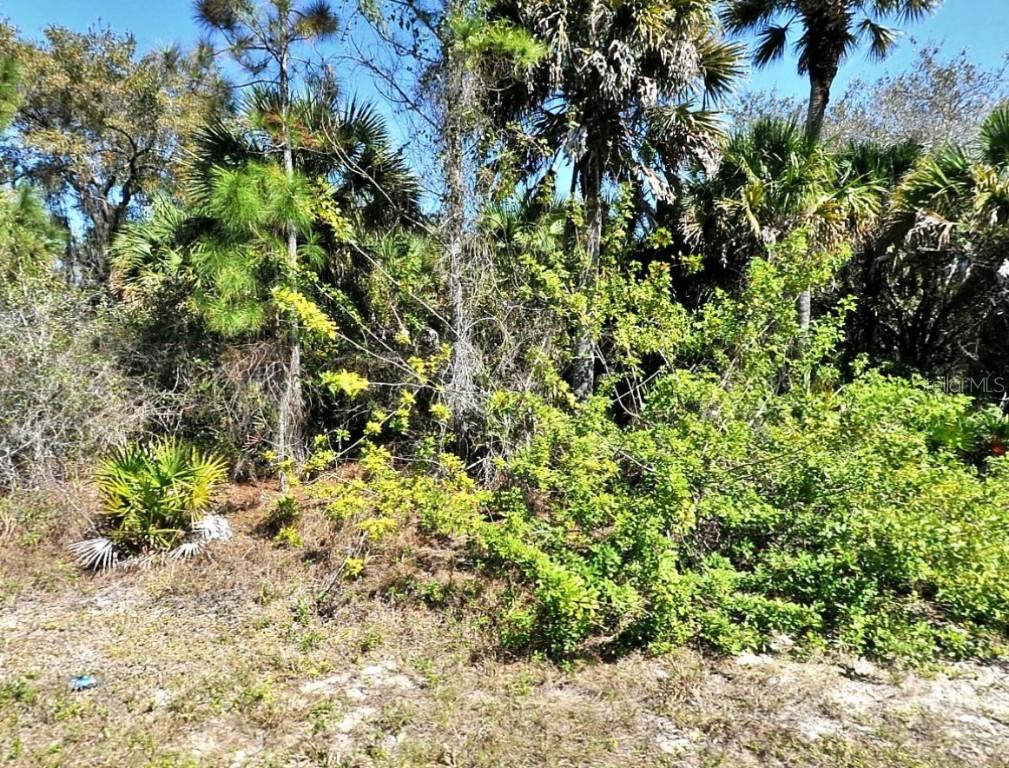 Gratlyn Ter. #LOT 17, North Port, FL 34288