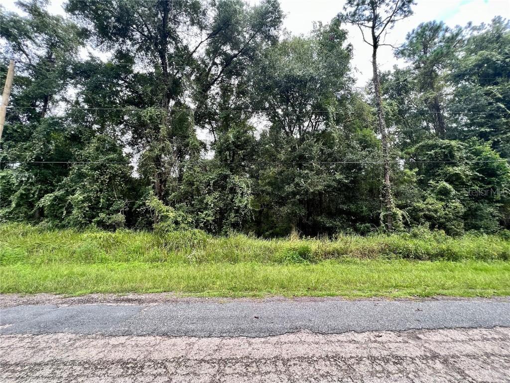 303 W Eridani Ct., Citrus Springs, FL 34434