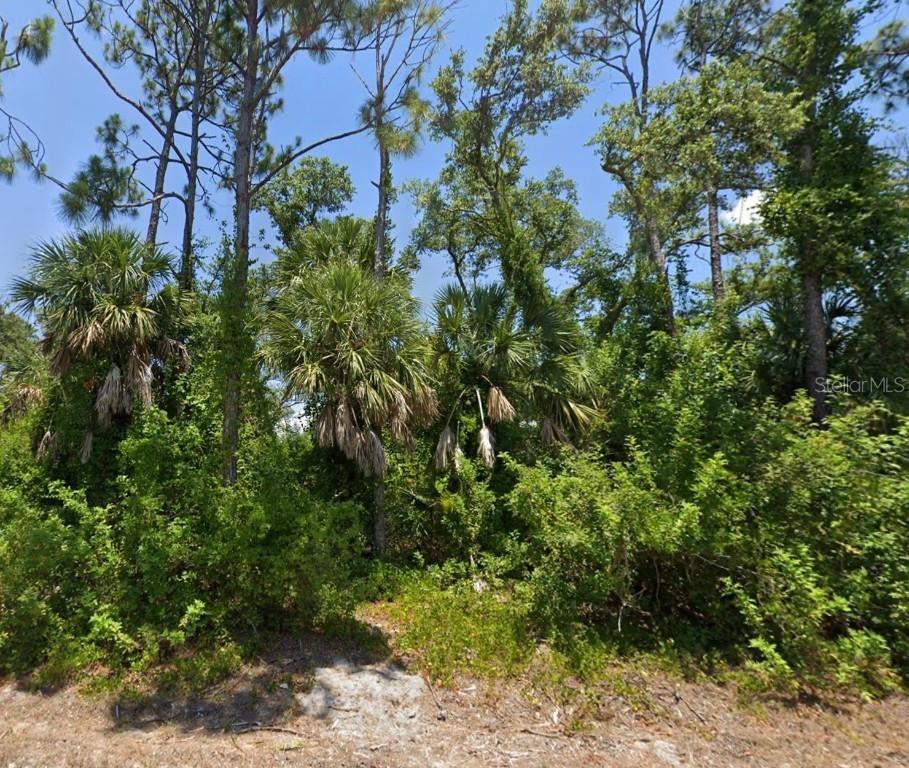 10046 Flat River St., Port Charlotte, FL 33981