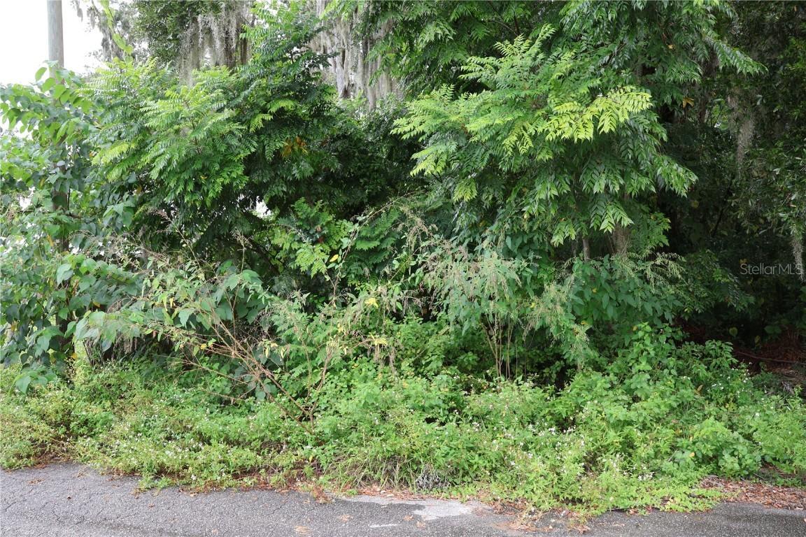 3330 SE 11th Ave., Ocala, FL 34471