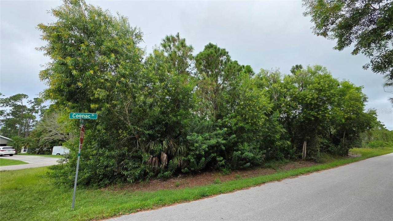 12339 Cognac Dr., Punta Gorda, FL 33955