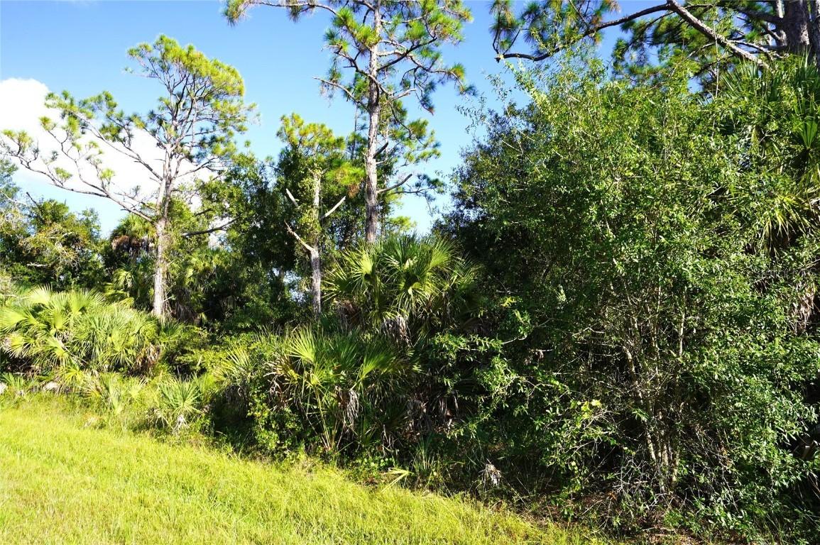 1294 Birch Ter., Port Charlotte, FL 33953
