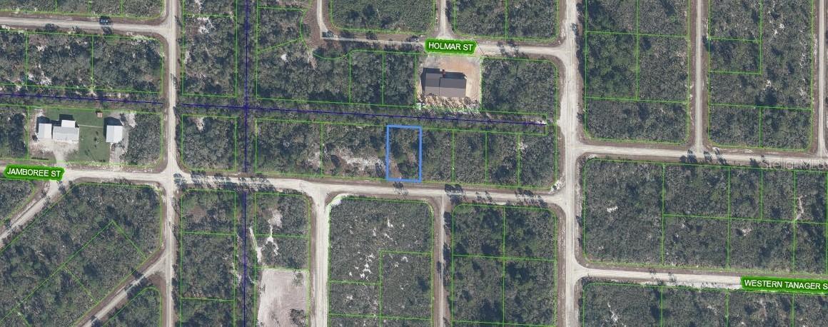 3507 & 3509 Jamboree St., Lake Placid, FL 33852