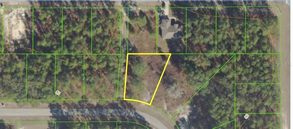 SW 131 St Pl., Ocala, FL 34473